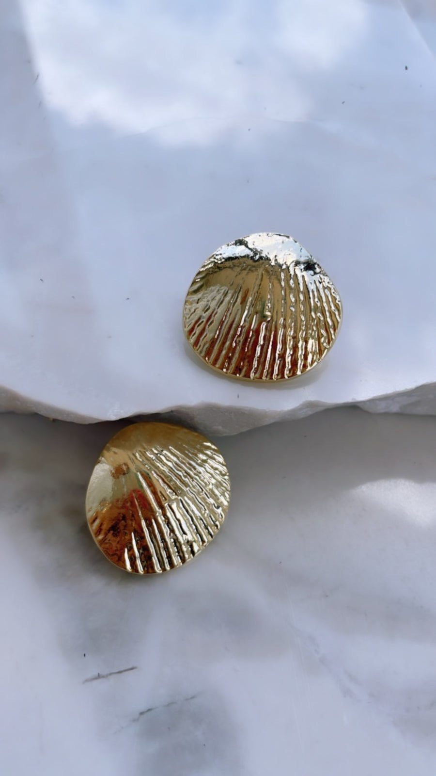 Shell Earrings - medium