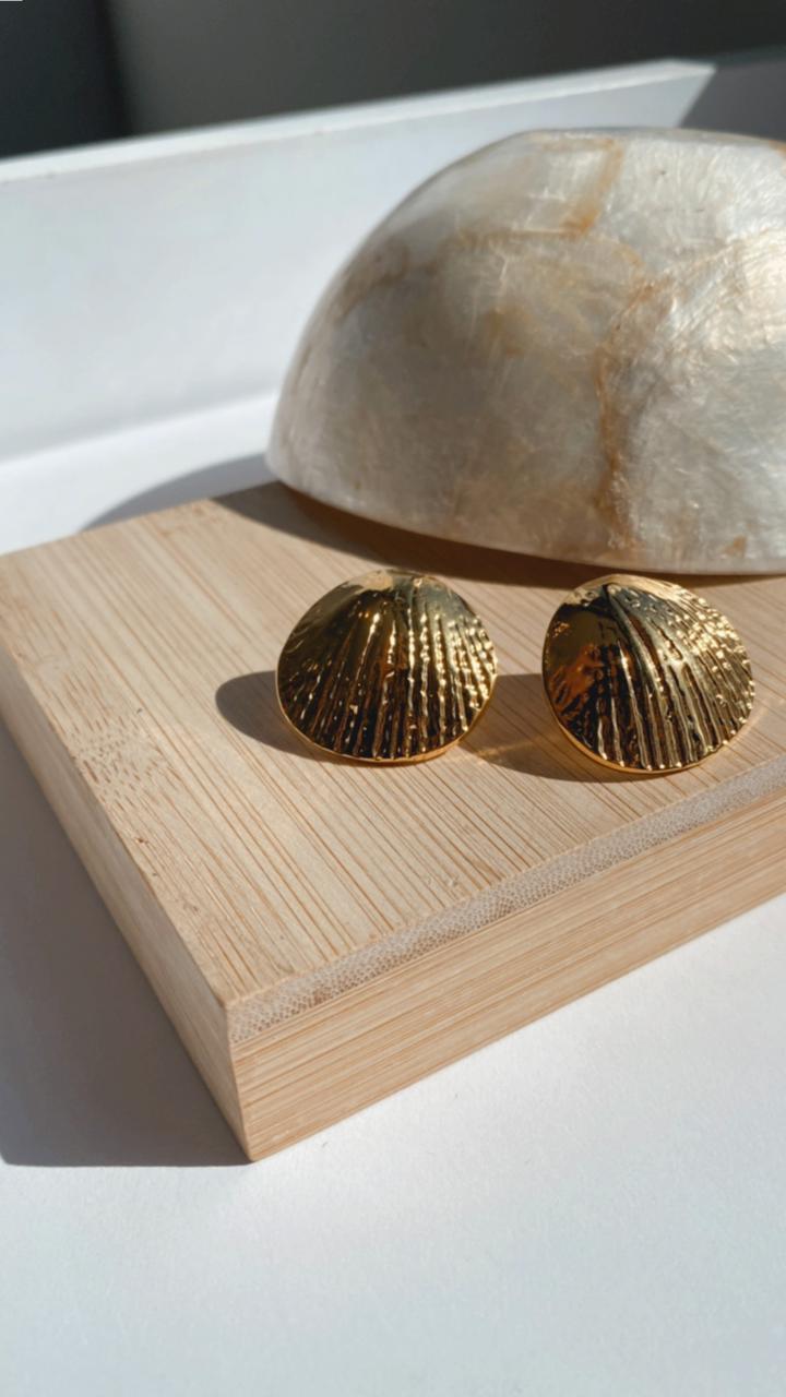 Shell Earrings - medium